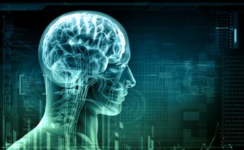 Temperament aneb „živost“ duše