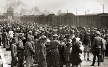 Mezinárodní den památky obětí holokaustu a holokaust obecně