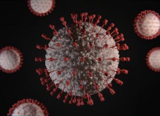 Koronavirus – aneb co bychom o něm měli vědět