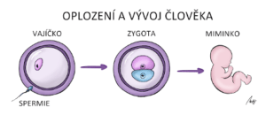 (axon-med.cz, 2020, [online]).