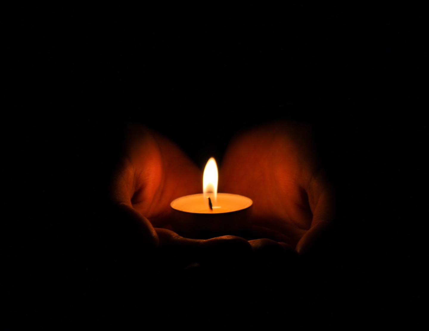 481067893_1094027609430619_4260774294411202038_n