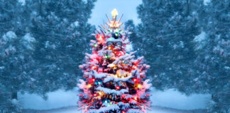 Vánoční tradice v různých zemích: Ty nejbláznivější a nejbizarnější zvyky světa