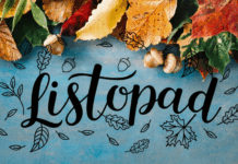 Listopadové tradice a obyčeje: čas vzpomínek a příprav na zimu